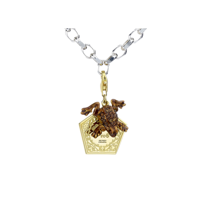 Charms Chocogrenouille